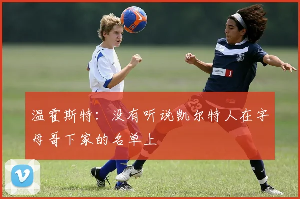 温霍斯特：没有听说凯尔特人在字母哥下家的名单上